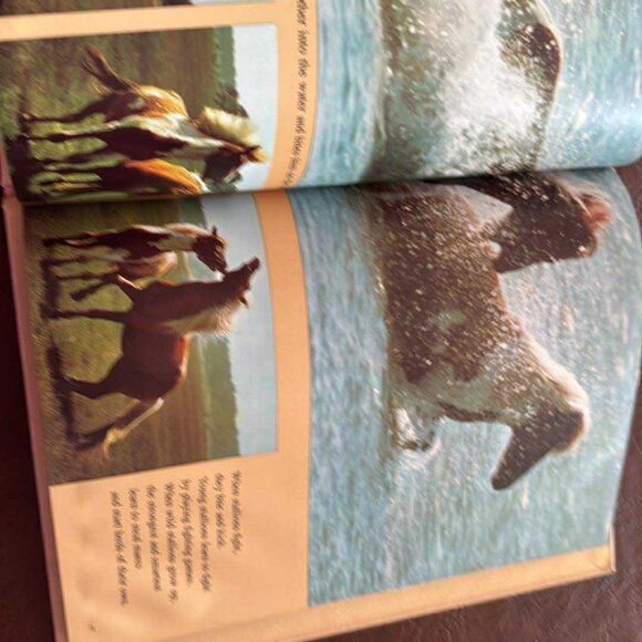 Vintage National geographic Books For Young Explorlers Set of 6 - Picture 7 of 16